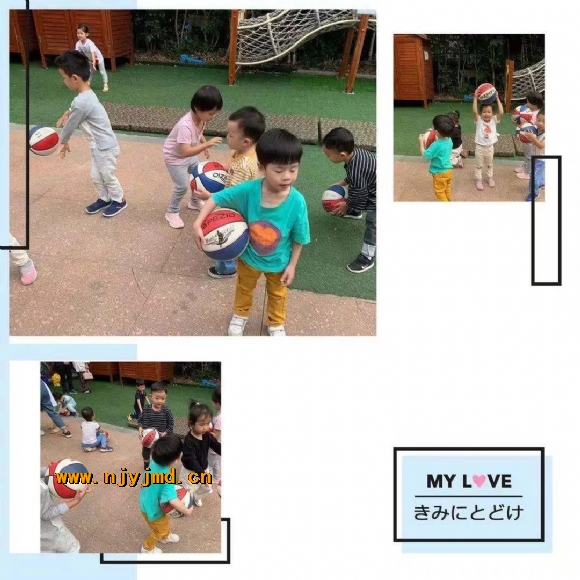 mmexport1574735223405.jpg